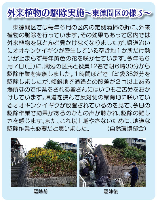 「コミわか広場」第202号（令和8年07月15日発行）掲載